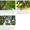 12004-20-features.jpg