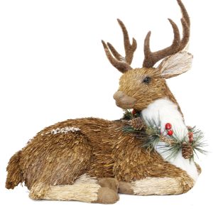 Woodlands sitting Deer