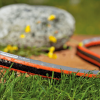 Gardena-Comfort-FLEX-Hose-50m-hose-in-lawn.png