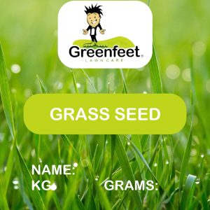 Grass Seed