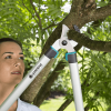 Pruning-Lopper-EasyCut-680-A-woman-pruning-branches.png