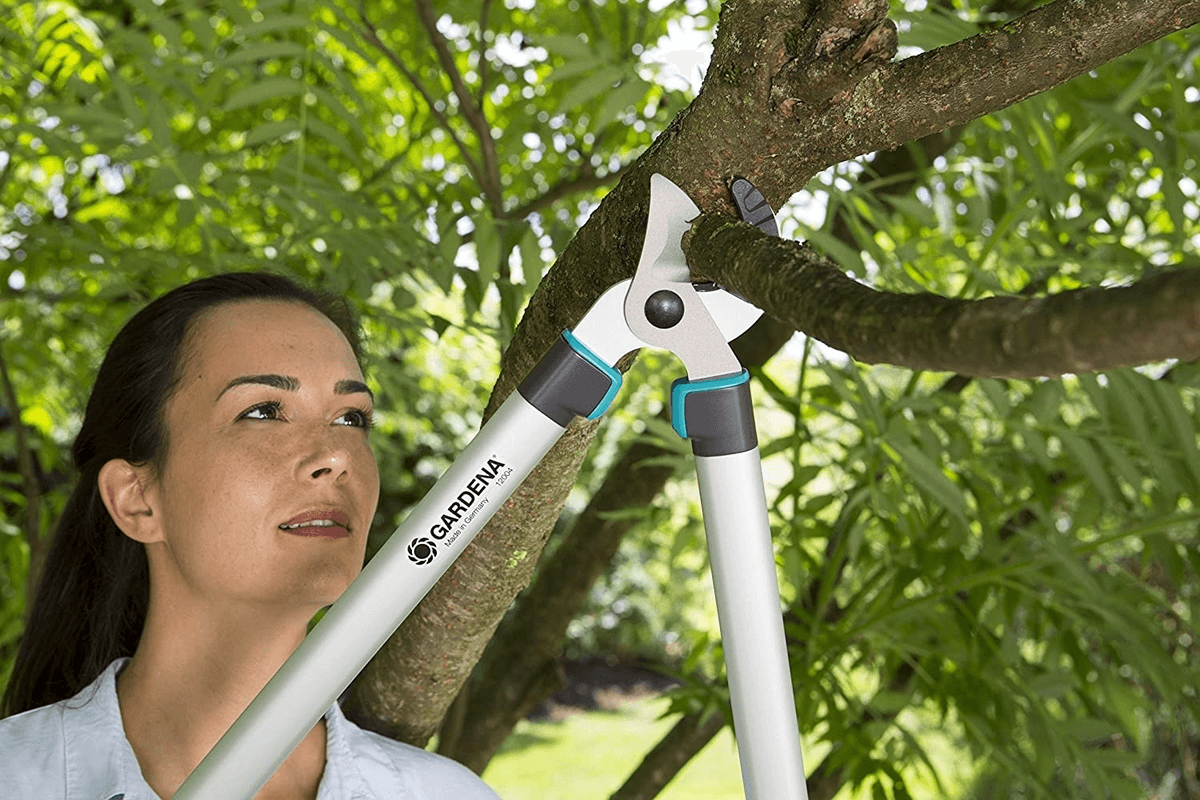 Pruning-Lopper-EasyCut-680-A-woman-pruning-branches.png