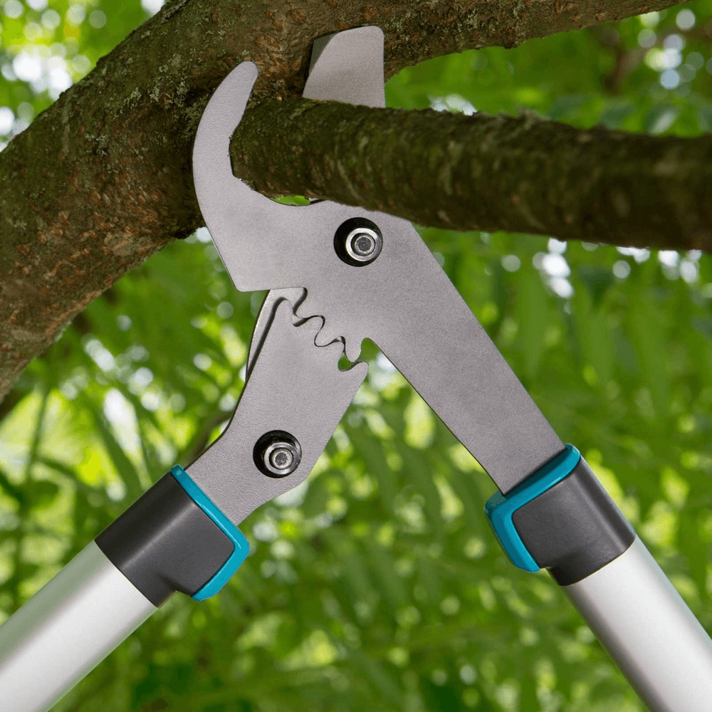 Pruning-Lopper-EnergyCut-750-A-pruning-branch.png