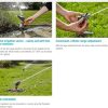 features-8141-20.jpg